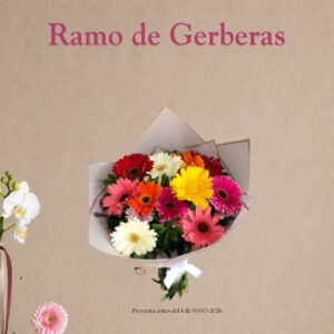 10 gerberas