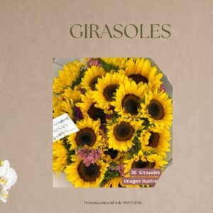 20 girasoles