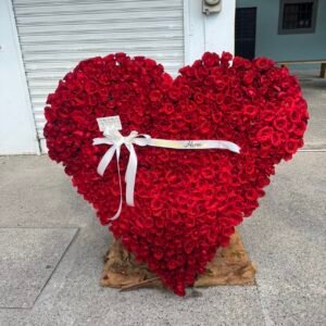 Corazón delux