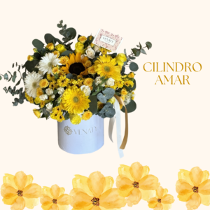 Cilindro amar